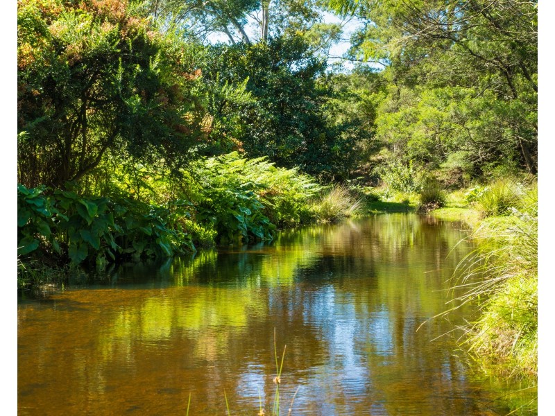 Central Tilba NSW 2546