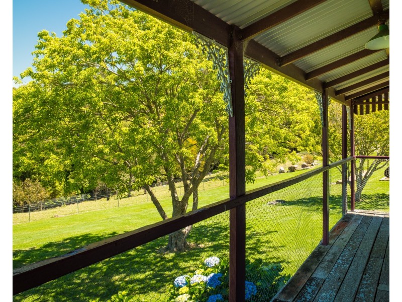 46 Punkalla Tilba Road, Central Tilba NSW 2546