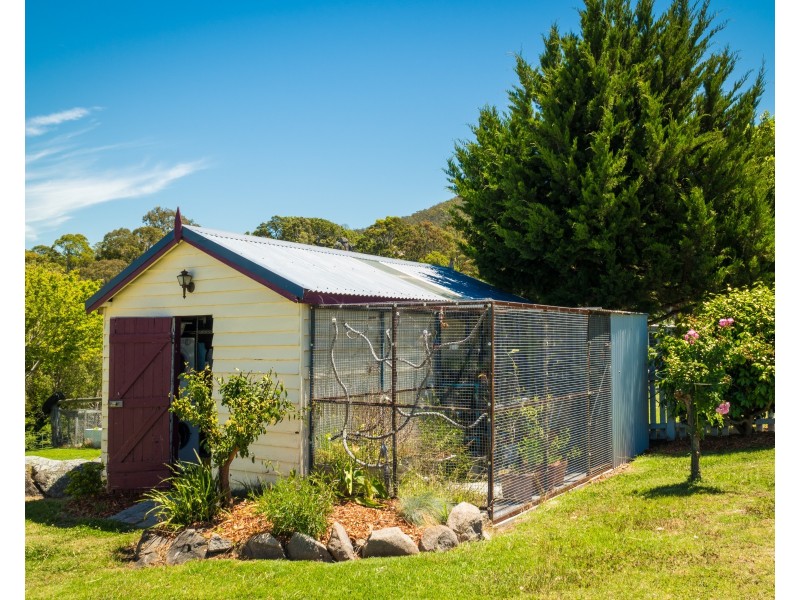 46 Punkalla Tilba Road, Central Tilba NSW 2546