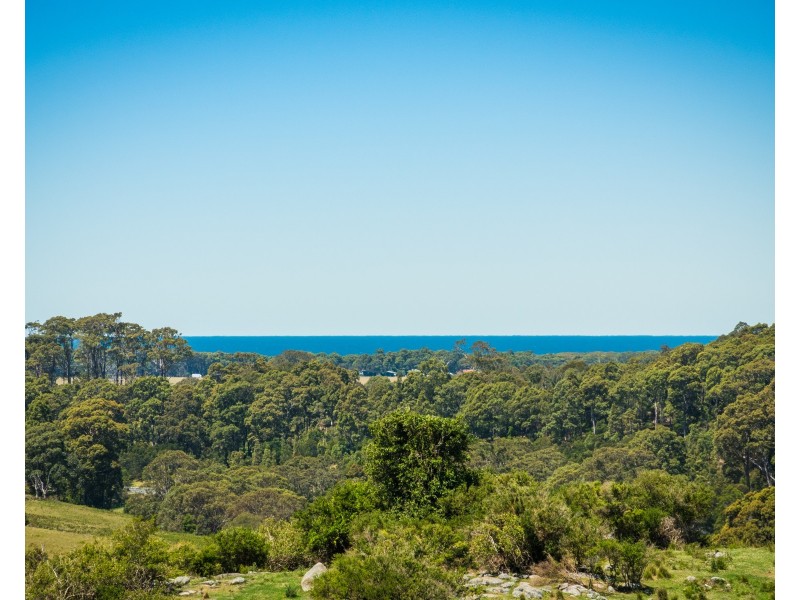 46 Punkalla Tilba Road, Central Tilba NSW 2546