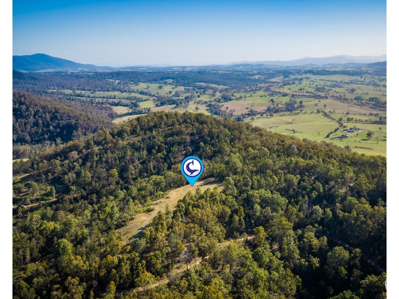 Lot 22 Barrabaroo Road, Cobargo NSW 2550