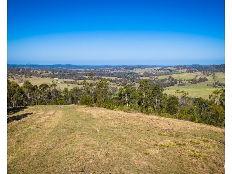Lot 22 Barrabaroo Road, Cobargo NSW 2550
