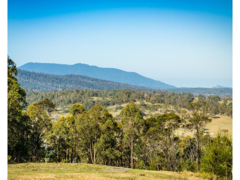 Lot 22 Barrabaroo Road, Cobargo NSW 2550