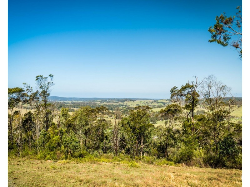 Lot 22 Barrabaroo Road, Cobargo NSW 2550