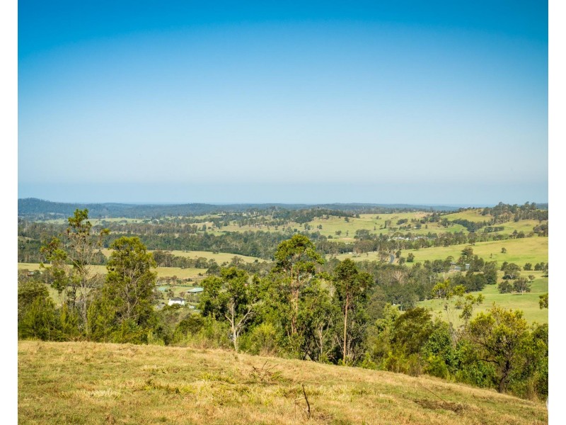 Lot 22 Barrabaroo Road, Cobargo NSW 2550