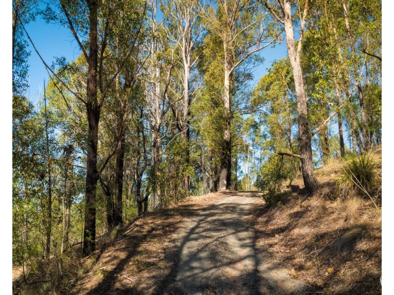Lot 22 Barrabaroo Road, Cobargo NSW 2550