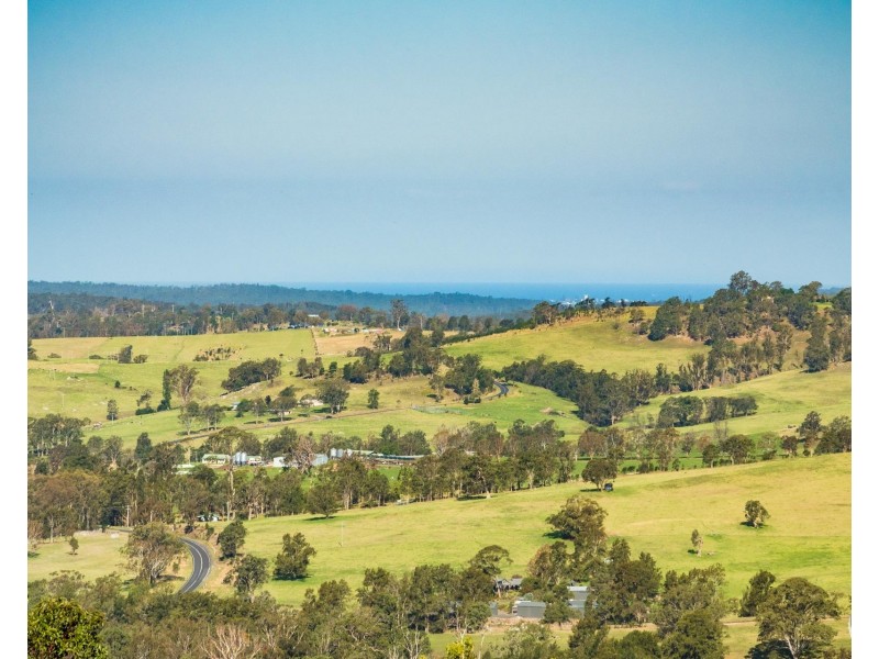 Lot 22 Barrabaroo Road, Cobargo NSW 2550