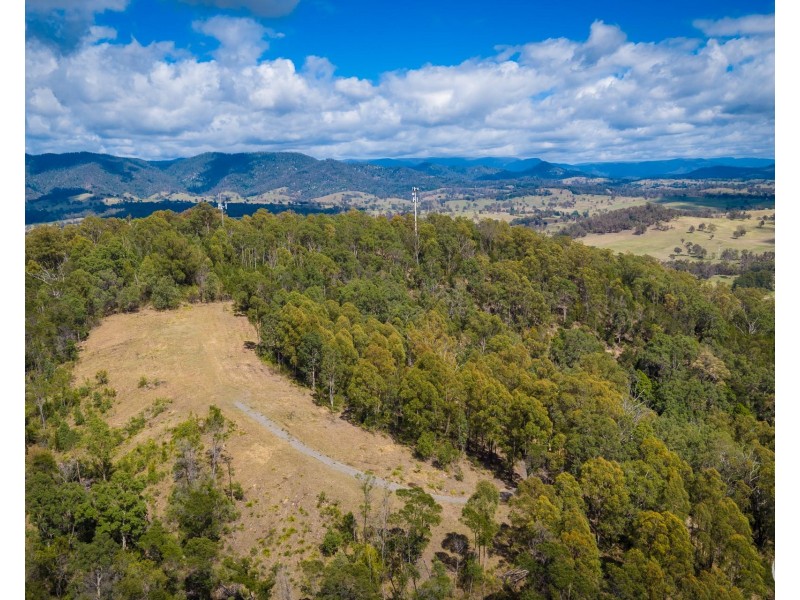 Lot 22 Barrabaroo Road, Cobargo NSW 2550