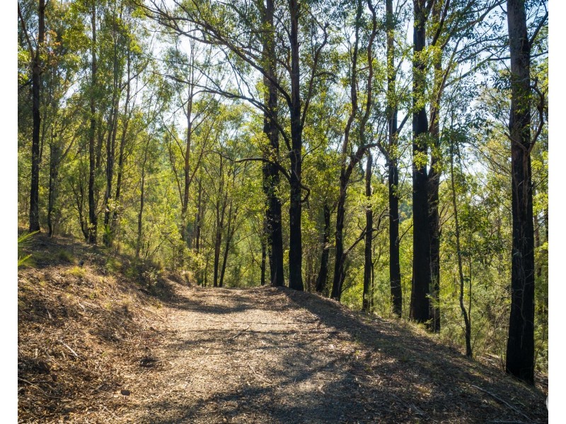 Lot 22 Barrabaroo Road, Cobargo NSW 2550