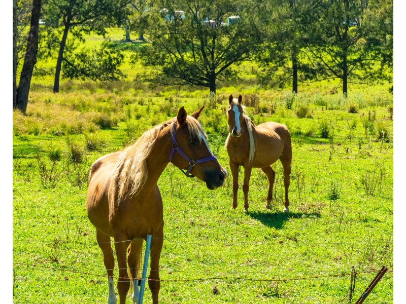 18 Waincourt Road, Eurobodalla NSW 2545