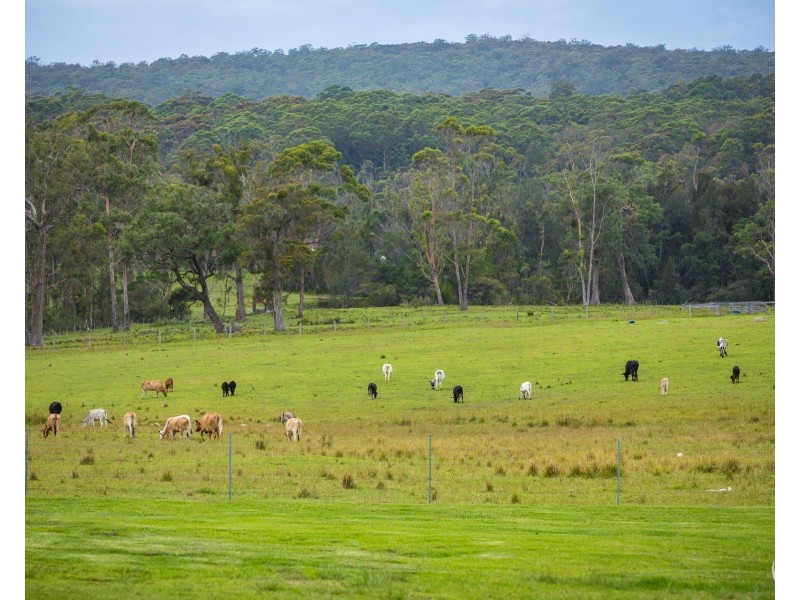 108-110 Princes Highway, Bodalla NSW 2545