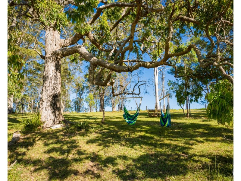 352 Bodalla Park Drive, Bodalla NSW 2545