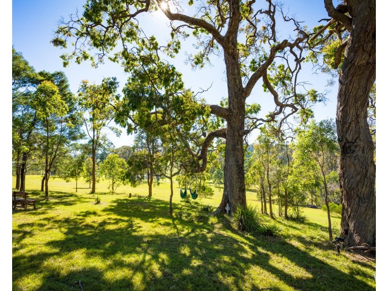 352 Bodalla Park Drive, Bodalla NSW 2545