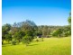 352 Bodalla Park Drive, Bodalla NSW 2545