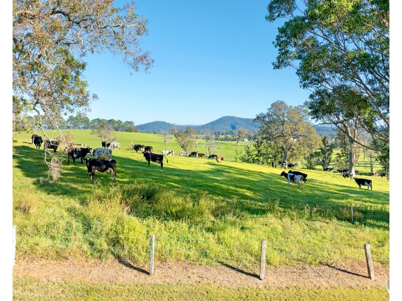 352 Bodalla Park Drive, Bodalla NSW 2545