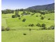182 Punkalla Tilba Road, Central Tilba NSW 2546