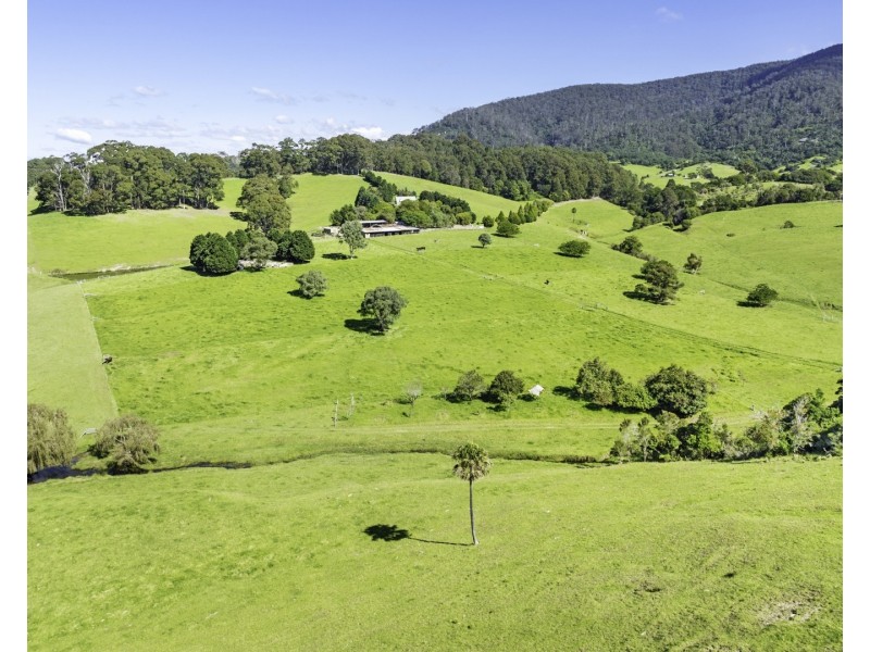 182 Punkalla Tilba Road, Central Tilba NSW 2546