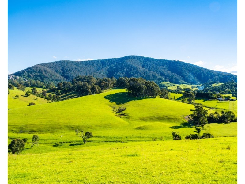 182 Punkalla Tilba Road, Central Tilba NSW 2546