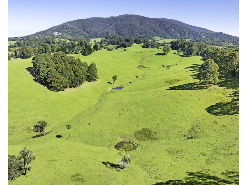182 Punkalla Tilba Road, Central Tilba NSW 2546