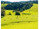 182 Punkalla Tilba Road, Central Tilba NSW 2546