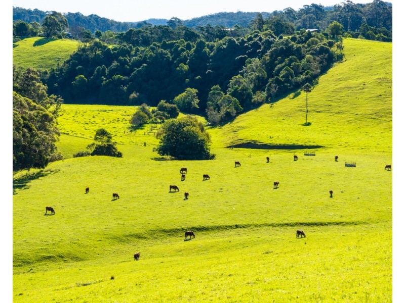 182 Punkalla Tilba Road, Central Tilba NSW 2546