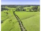 182 Punkalla Tilba Road, Central Tilba NSW 2546