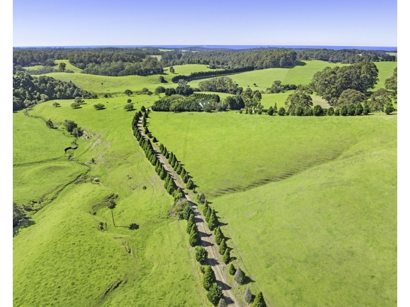 182 Punkalla Tilba Road, Central Tilba NSW 2546