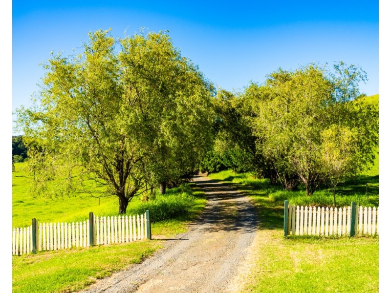 182 Punkalla Tilba Road, Central Tilba NSW 2546
