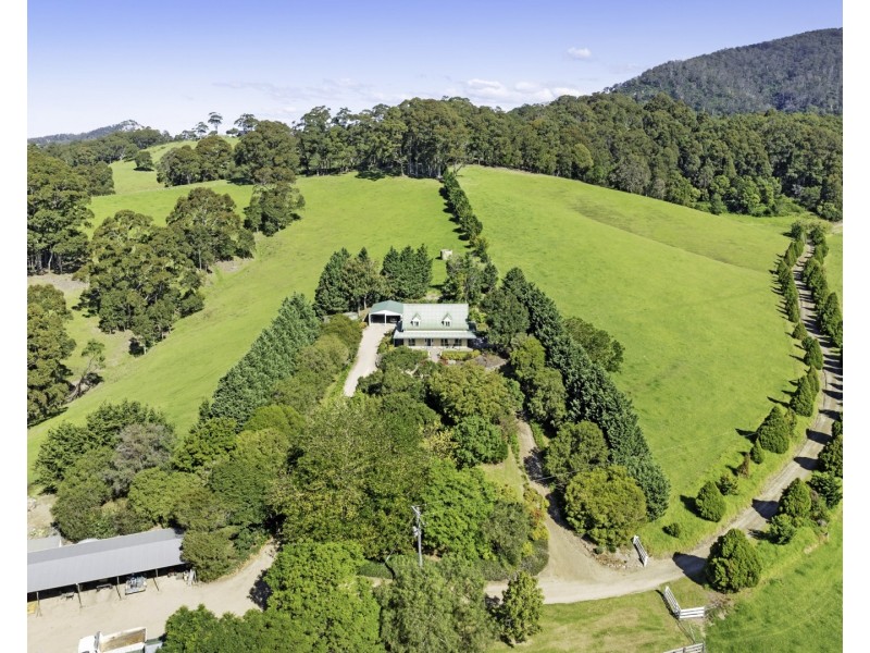 182 Punkalla Tilba Road, Central Tilba NSW 2546