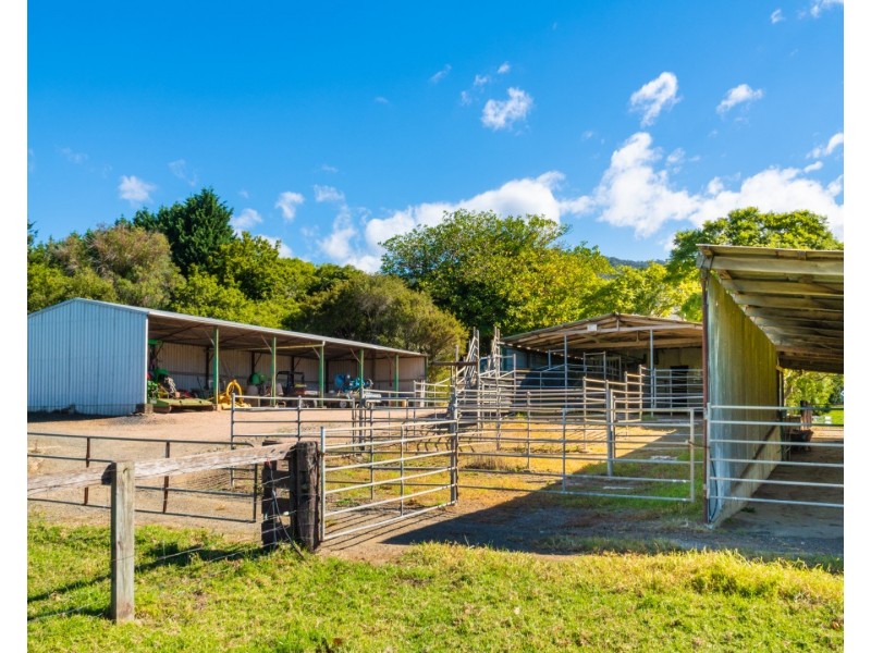 182 Punkalla Tilba Road, Central Tilba NSW 2546