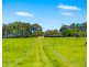 182 Punkalla Tilba Road, Central Tilba NSW 2546
