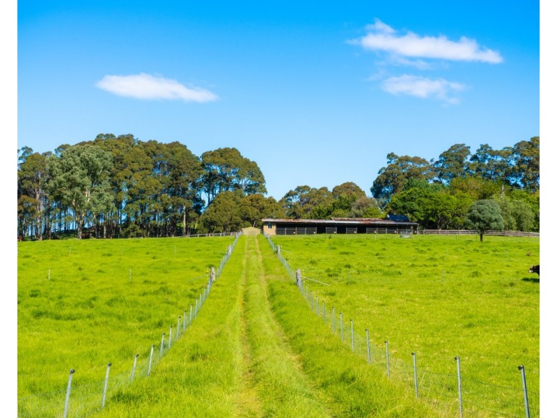 182 Punkalla Tilba Road, Central Tilba NSW 2546