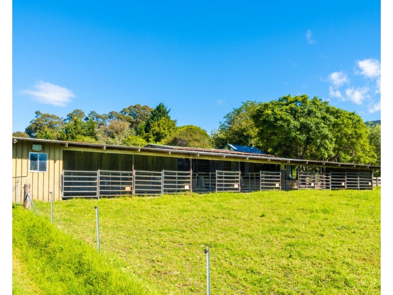 182 Punkalla Tilba Road, Central Tilba NSW 2546