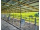 182 Punkalla Tilba Road, Central Tilba NSW 2546