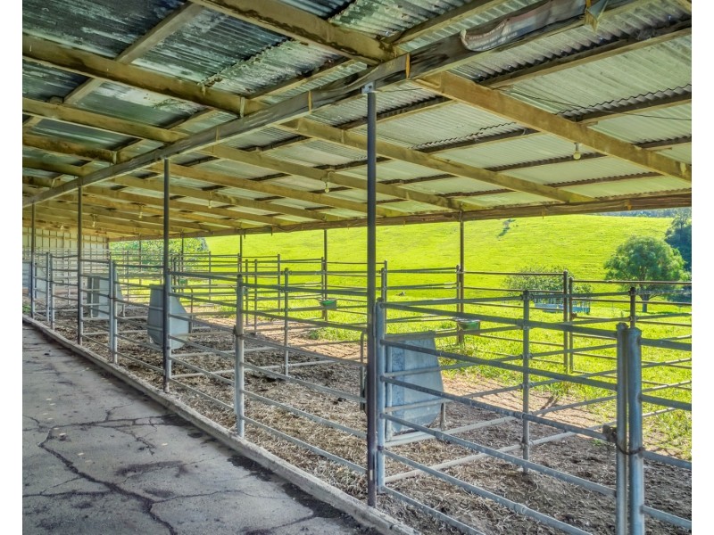 182 Punkalla Tilba Road, Central Tilba NSW 2546