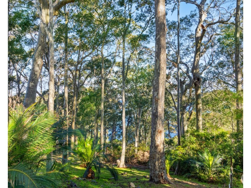 19 Hillcrest Avenue, North Narooma NSW 2546