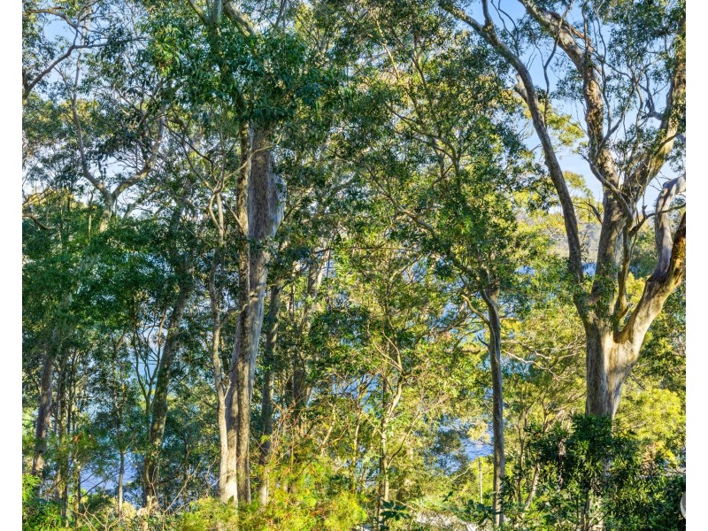 19 Hillcrest Avenue, North Narooma NSW 2546