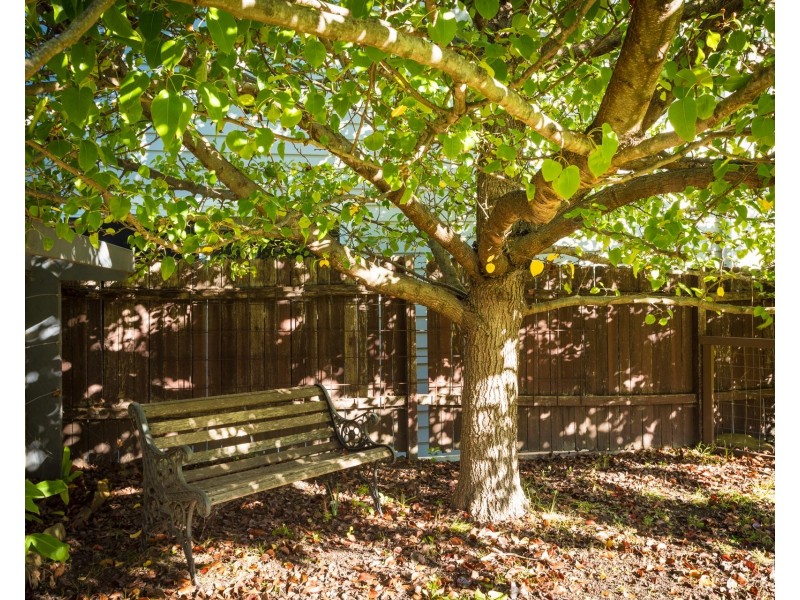 34 Lakeside Drive, Kianga NSW 2546