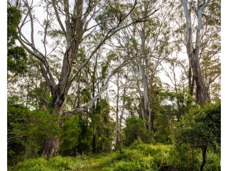 759 Old Highway, Narooma NSW 2546