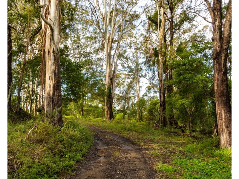 759 Old Highway, Narooma NSW 2546