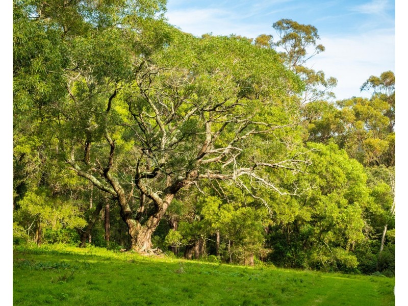 759 Old Highway, Narooma NSW 2546