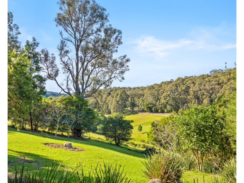 64 Brushgrove Lane, Corunna NSW 2546