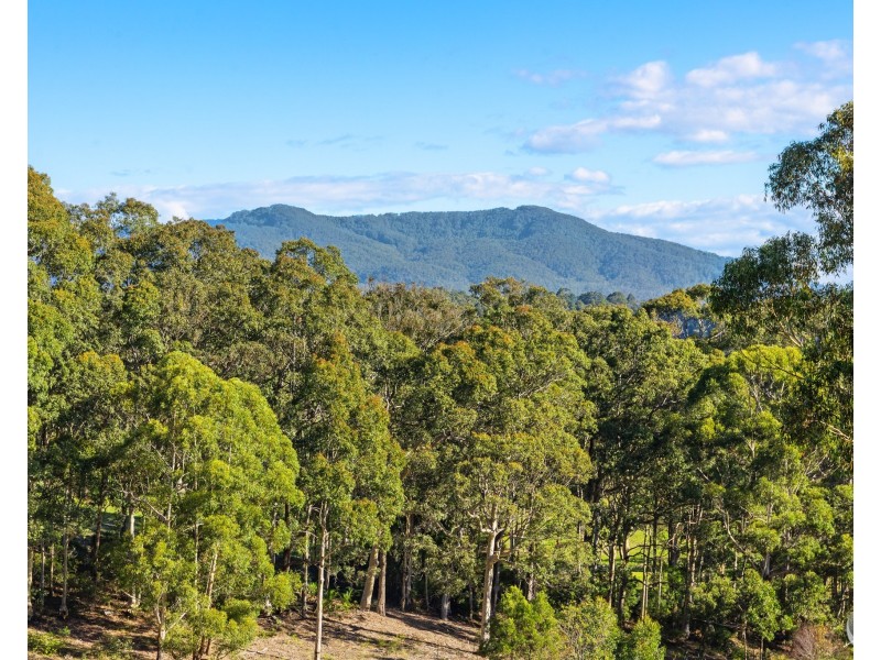 28 Old South Coast Road, Narooma NSW 2546