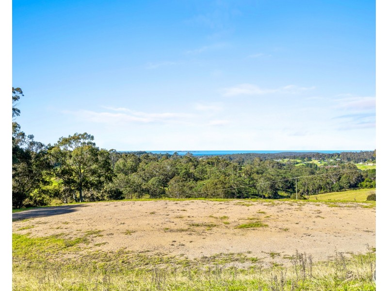 233 Wagonga Scenic Drive, Narooma NSW 2546