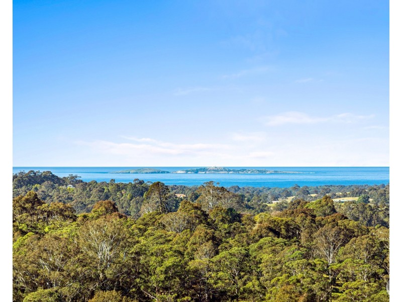 233 Wagonga Scenic Drive, Narooma NSW 2546