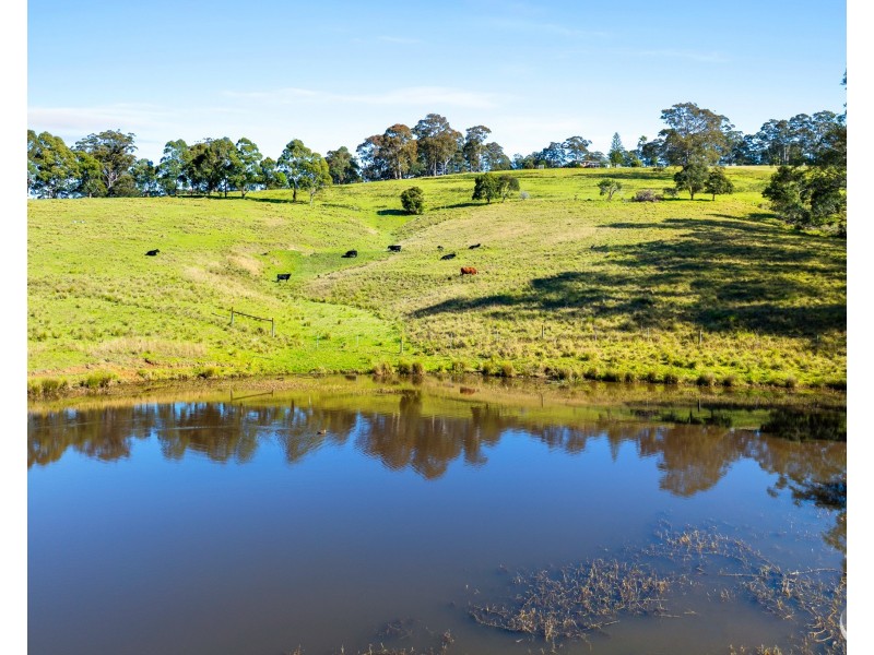 233 Wagonga Scenic Drive, Narooma NSW 2546