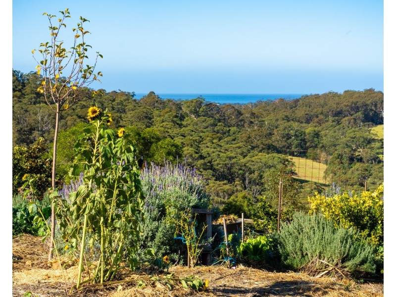 9052 Princes Highway, Tilba Tilba NSW 2546