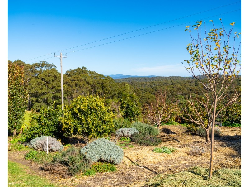 9052 Princes Highway, Tilba Tilba NSW 2546
