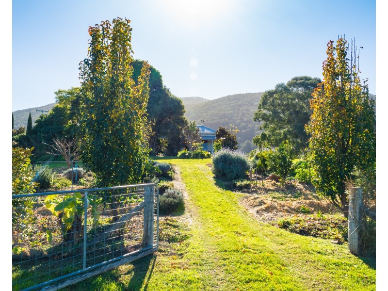 9052 Princes Highway, Tilba Tilba NSW 2546