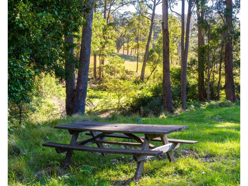 9052 Princes Highway, Tilba Tilba NSW 2546